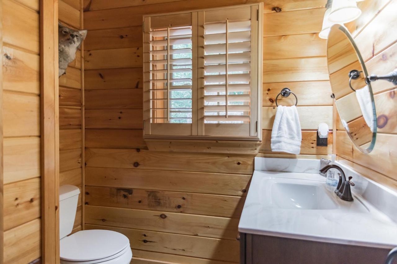 Iron Mountain Lodge - Beautiful Cabin With Forest & Mountain Views! Butler 外观 照片